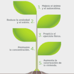 Beneficios verdes