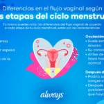 Beneficios vitales del flujo femenino