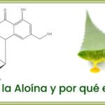 Beneficios Vitalizantes de la Aloína