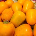 Bienestar en cada bocado: beneficios de la cocona