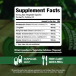 Boost total: experimenta los beneficios de cuerpo completo