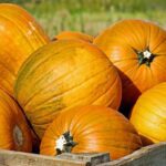 Calabaza: un superalimento para controlar la diabetes