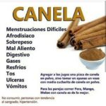 Canela en ayunas: potenciando tu salud