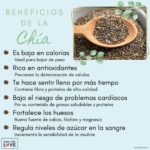 Chia blanca: poténciale beneficios