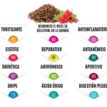 Conoce los increíbles beneficios de la cuculmeca
