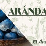 Conoce los increíbles beneficios del arándano azul
