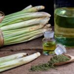 Conoce los increíbles beneficios del lemongrass