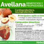 Cosecha de beneficios: avellana natural