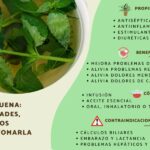 Cosechando bienestar: los beneficios de la hierbabuena en la nutrición