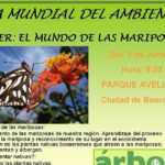 Desata tu potencial: los increíbles beneficios de las mariposas
