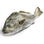 Descubre los beneficios de la corvina