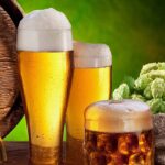 Disfruta de los beneficios de la cerveza malta