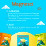 Diversos beneficios del magnesol