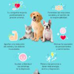 El bienestar emocional junto a tu mascota