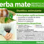 El poder de los beneficios del tereré