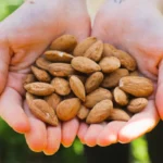 Embellece tu salud con almendras crudas
