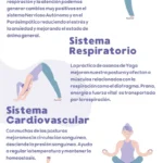 Equilibrio y bienestar: los múltiples beneficios del yoga