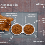 Mejora la alimentación de tu gato con comida húmeda