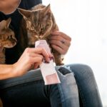 Mejora la calidad de vida de tu gato con Malta