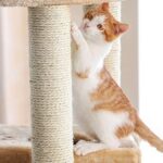 Mejora la calidad de vida de tu gato con un rascador