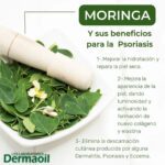 Mejora tu piel con la moringa: beneficios y tips