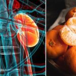 Mejora tu salud con la mandarina nocturna