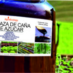 Melaza de caña: el dulce camino hacia la salud