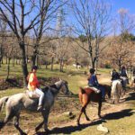 Montando hacia la salud: los beneficios de andar a caballo