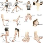 Movilidad articular: ¡pon a tu cuerpo en movimiento!