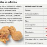 Nueces: potencia tu salud con su riqueza nutricional