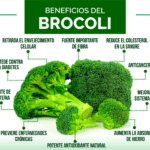Nutrición al vapor: los beneficios del brócoli para tu salud