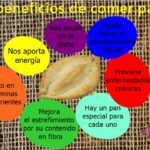Nutrición en cada bocado: Los beneficios de los panes y cereales
