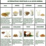 Nutrición vegetal: los beneficios de la leche alternativa