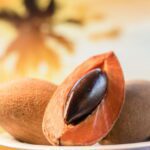 Nutrición y bienestar: los beneficios del mamey