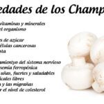 Nutritivos y deliciosos: los beneficios de los champiñones
