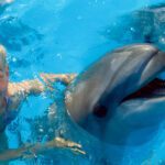 Ondas de Bienestar: Beneficios de la Delfinoterapia