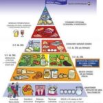 Optimiza tu salud con la grasa saturada