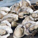 Ostras: un superalimento para la mujer