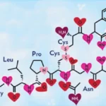 Oxitocina: El poder de la conexión
