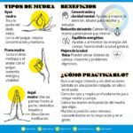 Potencia tu bienestar con los beneficios de los mudras
