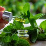 Potencia tu piel con la menta: ¡Descubre sus increíbles beneficios!