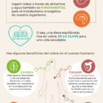 Potencia tu salud: beneficios del cobre en el cuerpo