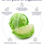 Potencia tu salud con la col cruda