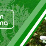 Potencia tu salud con la fenilalanina