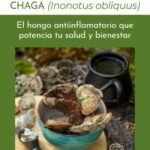 Potencia tu salud con los beneficios del hongo medicina