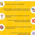 Potencia tu salud con vitamina B3