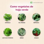 Potencia tu sistema inmunológico con espinacas