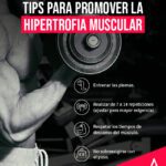Potencia tus músculos: descubre todos los beneficios de la hipertrofia