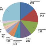 Potencia tus resultados con beneficios de esteroides