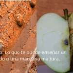 Potencial de la manzana oxidada